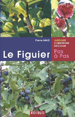 Le figuier, pas  pas