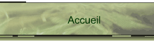 Accueil